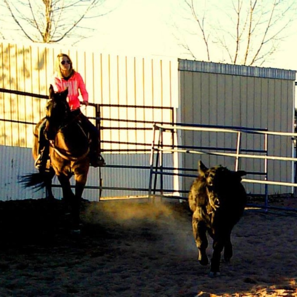 Meet your Posher, Hailey